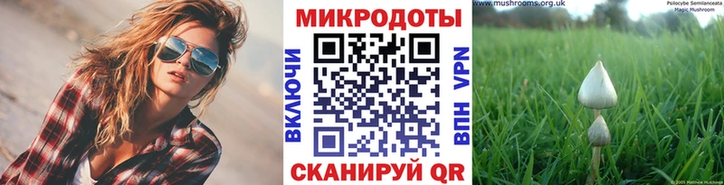Псилоцибиновые грибы Cubensis Кашин